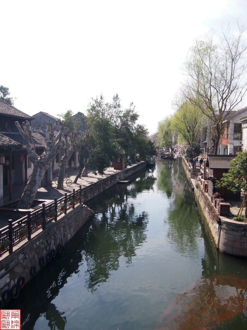 御龙在天